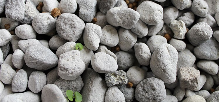 newly seeded Hess Ponics pumice grow media